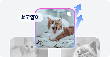 인스타그램 상위 노출